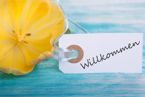 Table ronde Esthétique : Les Wellness Stars : un modèle bien-être performant