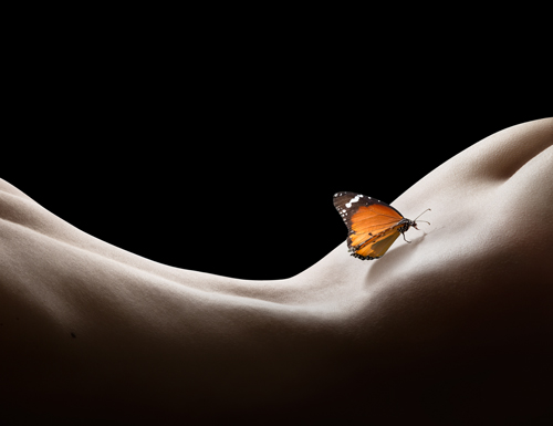 Démonstration Esthétique : Le Deep Flow