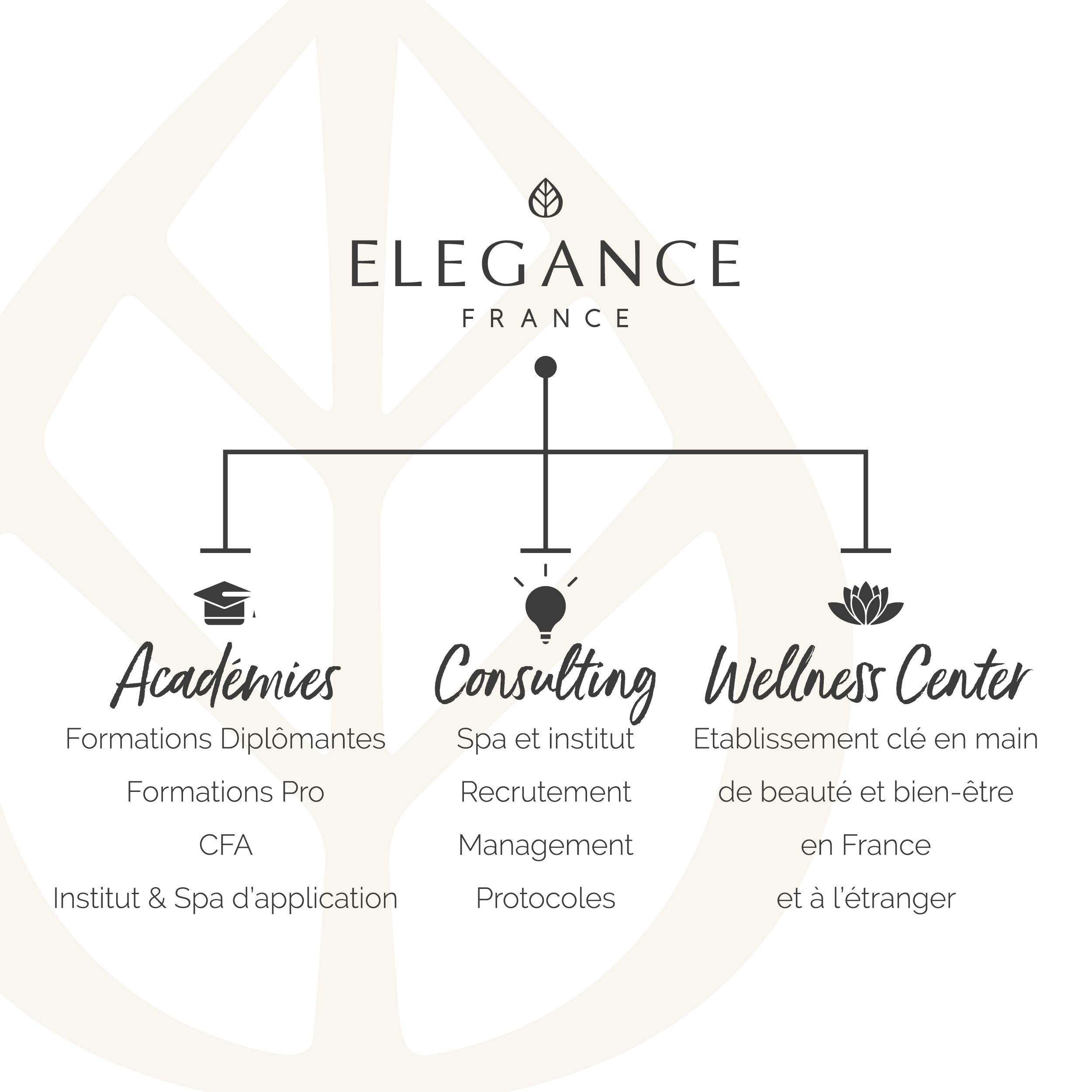 ELEGANCE FRANCE & ELEGANCE CONSULTING