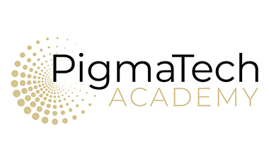 PIGMATECH ACADEMY